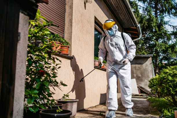 Best Affordable Pest Control Services  in Blackfoot, ID