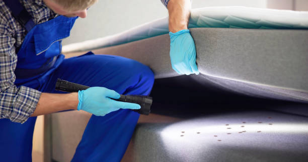 Best Affordable Pest Control Services  in Blackfoot, ID