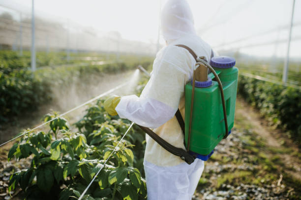 Best Pest Control for Homes  in Blackfoot, ID